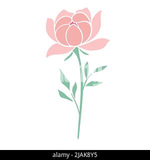 Zarte rosa Pfingstrose Vektor. Blühende Blütenblätter üppiger Gartenblumen isoliert Illustration. Sommer natürliche botanische Blütendekoration Stock Vektor