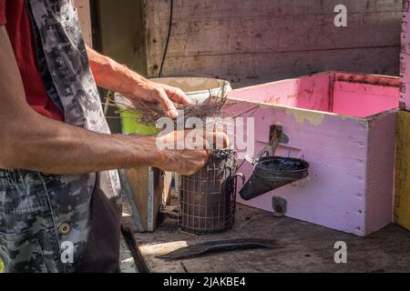 Imker bereitet den Bienenstochter für die Bienenstockinspektion vor Stockfoto