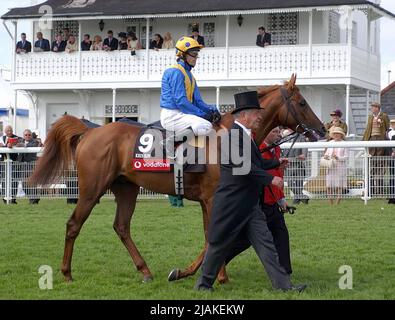 Fileboto vom 23-07-2003 von Kris Kin mit Trainer Michael Stoute vor dem Gewinn des Epsom Derby 2003. Was auch immer das Schicksal des Cazoo Derby-Favoriten Desert Crown beim diesjährigen Epsom Classic, der zum Gedenken an Lester Piggott ausgetragen wird, sein mag, Kieren Fallon ist der Meinung, dass die größte Trainingsleistung von Sir Michael Stoute Kris Kin dazu gebracht hat, die Erneuerung 2003 zu gewinnen. Ausgabedatum: Dienstag, 31. Mai 2022. Stockfoto