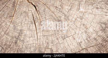 Natürliche beige Holzstruktur Hintergrund, Board Wand und alte Panel Holz Maserung Tapete. Rustikales Muster für Design. Tisch aus Sperrholz mit Dekor Stockfoto