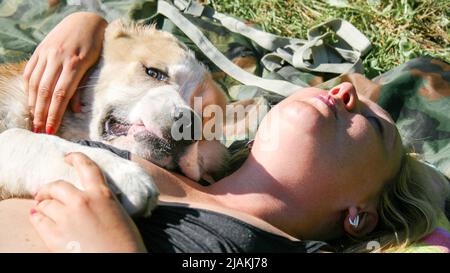 Das Mädchen liegt bei dem Hund. Zentralasiatischer Schäferhund, Alabay oder Alabai Stockfoto