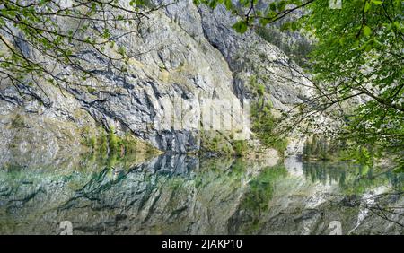 Spiegelungen auf der Wasseroberfläche, schöner Obersee, nahe Königssee Stockfoto