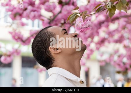 Seitenansicht eines fröhlichen afroamerikanischen Mannes, der in der Nähe eines blühenden Kirschbaums lächelt Stockfoto