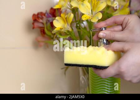 Spülmittel auf einen Schwamm auftragen. Weibliche Hände mit einem gelben Schwamm zum Spülen Stockfoto