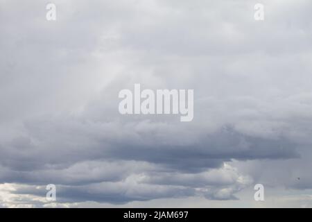 Niedrige dichte graue Regenwolken. Der Himmel ist fast vollständig mit Cumulonimbuswolken bedeckt. Blick vom Boden. Stockfoto