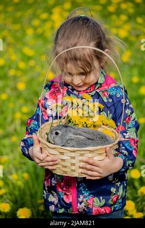 Ein Mädchen hält einen Korb mit einem kleinen grauen Kaninchen auf einem Hintergrund von gelben Blumen Stockfoto