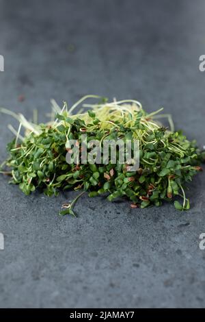 Vegan und frisches Mikrogrün auf schwarzem Hintergrund. Stockfoto