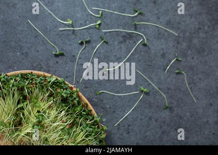 Vegan und frisches Mikrogrün auf einem Holzteller. Stockfoto