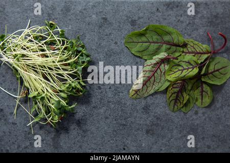 Vegan und frisches Mikrogrün auf schwarzem Hintergrund. Stockfoto