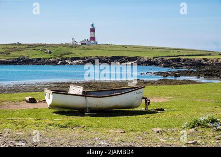 Strandboot an der Küste mit Kegelrobben in der Bucht und Leuchtturm auf der Landzunge. Ynys Enlli/Bardsey Island, Llyn Peninsula Gwynedd, Nordwales Stockfoto