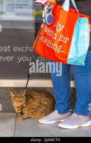 Katze an der Leine in Southport, Merseyside. 31 Mai 2022. Geschäfte, Einkäufer. Woman Holding Home Bargains Wiederverwendbarer Einkaufstasche mit einem sonnigen Start in den Tag im nordwestlichen Küstenresort. Es wird erwartet, dass die Temperaturen mit der Aussicht auf einen schönen hellen Feiertag Jubilee Feier Wochenende steigen. Kredit; MediaWorldImages/AlamyLiveNews Stockfoto