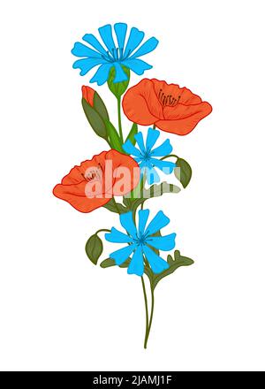 Blumenstrauß von Wiesenblumen. Komposition aus Mohnblumen und Kornblumenblumen. Geschenk Blumen für Frauen. Stock Vektor