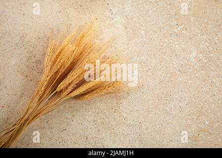 Glücklich Shavuot. Shavuot jüdischen Feiertag und Weizen. Stockfoto