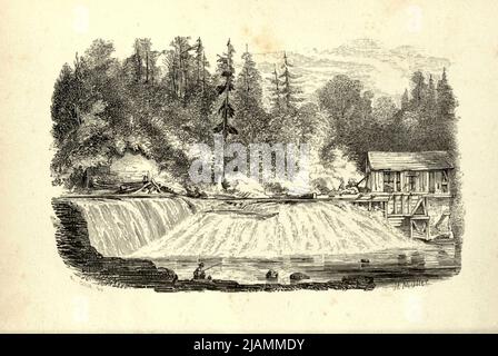 MÜHLENDAMM FALL aus dem Buch ' Trenton Falls, picturesque and descriptive ' von Nathaniel Parker Willis, John Sherman, ILLUSTRATIONEN VON ORIGINALENTWÜRFEN VON HEINE, KUMMER UND MULLER Erscheinungsdatum 1851 Herausgeber/Verlag New York : G.P. Putnam [Trenton Falls ist ein Wasserfall am West Canada Creek in Trenton, New York. Die landschaftlich schönen Wanderwege wurden von Brookfield Renewable Power und der Stadt Trenton entwickelt. Die Wasserfälle wurden und werden seit Anfang des 20. Jahrhunderts zur Erzeugung von Strom aus Wasserkraft verwendet und tun dies auch heute noch.] Stockfoto