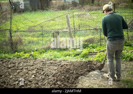 Guy gräbt Boden. Pflanzung von Kartoffeln in Russland. Russisch mit Schaufel. Der Mensch bereitet den Boden vor. Stockfoto