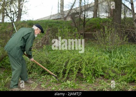 Alter Mann im Garten. Großvater kümmert sich um Pflanzen. Rentner in Russland arbeitet Land. Alter Mann mit Rechen. Stockfoto