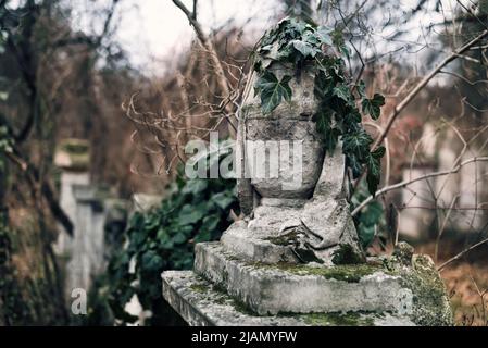 Urnenvase bedeckt mit Efeu auf dem Alten Friedhof Stockfoto