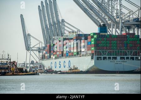 Stock-Bilder des COSCO Development Containerschiffs, das größte Schiff, das jemals an die Ostküste kam, betrat heute Morgen den Savannah River und mak Stockfoto