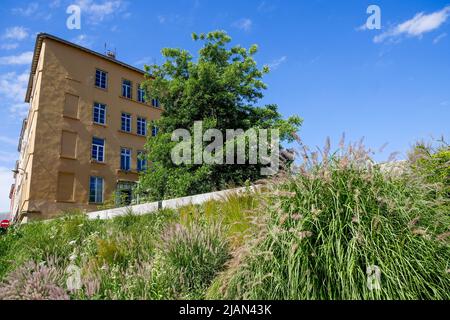 Le Gros Caillou Garden, Bezirk Croix-Rousse, Lyon, Region Auvergne Rhone-Alps, Zentralfrankreich Stockfoto