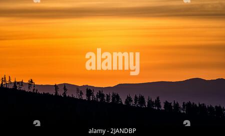 Bäume Silhouetten in den Bergen gegen den Sonnenaufgang. Die Tatra, Slowakei. Stockfoto