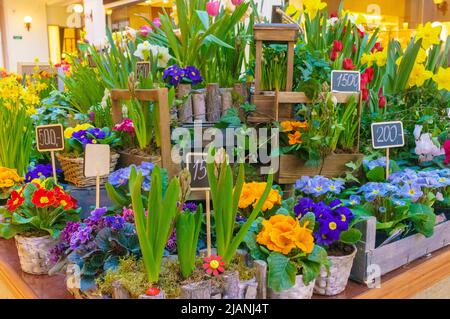 Blumenzusammensetzung. Abstrakter Blumenhintergrund. Eine Blumenfrau, die im Blumenladen einen wunderschönen Blumenstrauß macht. Stockfoto