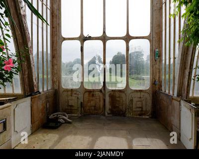 Richmond, Greater London, England, Mai 18 2022: Royal Botanic Gardens Kew. Blick vom Inneren des Palm House draußen auf den Rasen und die Bäume. Stockfoto