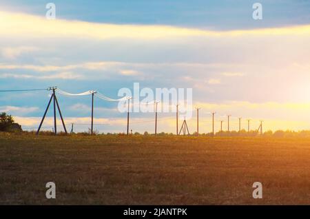 Niedrige Pole mit elektrischen Drähten, die bei einem sonnigen Sonnenuntergang in einem Feld des Horizonts leuchten Stockfoto