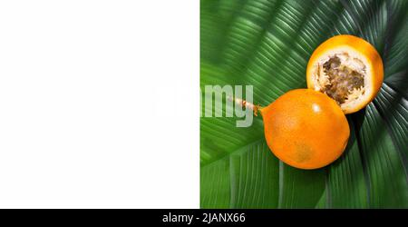 Passiflora ligularis - Granadilla tropische Bio-Frucht Stockfoto