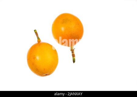Passiflora ligularis - tropische und frische Granadilla-Frucht Stockfoto
