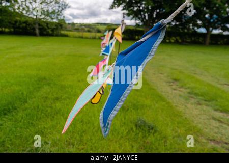 Bunte Ammer fliegen mit dem Wind auf grünem Grasfeld im Frühjahr. Triangle-Flaggen in vielen Farben streckten sich über das Feld, um ein zu markieren Stockfoto