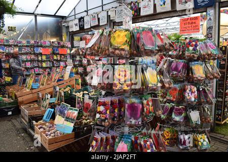 Tulpen zum Verkauf auf dem Bauernmarkt in Amsterdam Stockfoto