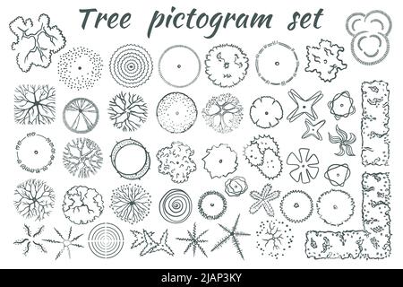 Architekturbäume von oben. Piktogramme für allgemeine Pläne und Dendropläne im Landschaftsdesign im Skizzenstil. Isoliert auf weißem Hintergrund. Stock Vektor