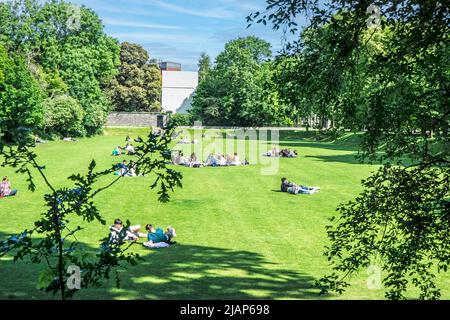 Menschen, die die Sonne in Iveagh Gardens, Dublin, Irland, genießen. Stockfoto