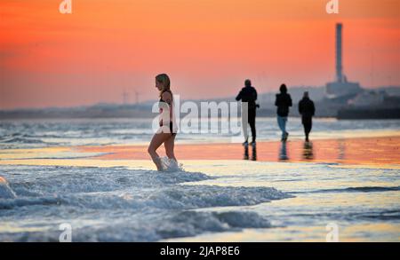 Silhouetten von Menschen am Strand bei Ebbe, Brighton & Hove, East Sussex, England, Großbritannien. Frau im Bikini Eintritt ins Meer . Im März liegen die Wassertemperaturen in der Regel unter 10 Grad celsius. Stockfoto