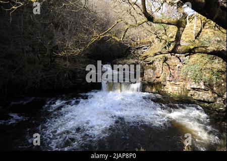 Letzter Wasserfall auf der Afon Mellte. Direkt oberhalb der alten Schießpulver-Werke bei Pontneddfechan. Stockfoto