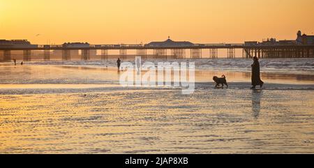 Dämmerung Silhouetten von Menschen am Strand bei Ebbe, Brighton & Hove, East Sussex, England, Großbritannien. Morgenspaziergang mit Hund am Strand. Brighton Palace Pier im Hintergrund. Stockfoto
