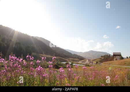 Refuge Napoléon Face au lac au Col de Vars, Hautes-Alpes Stockfoto