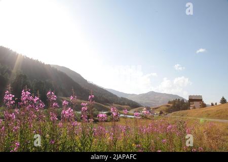 Refuge Napoléon Face au lac au Col de Vars, Hautes-Alpes Stockfoto