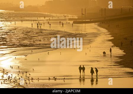 Silhouetten von Freunden zusammen und anderen Menschen am Strand bei Ebbe, Brighton & Hove, East Sussex, England, Großbritannien. {Hotographiert vom Palace Pier bei Sonnenuntergang Stockfoto