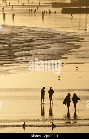 Silhouetten von Freunden zusammen und anderen Menschen am Strand bei Ebbe, Brighton & Hove, East Sussex, England, Großbritannien. {Hotographiert vom Palace Pier bei Sonnenuntergang Stockfoto