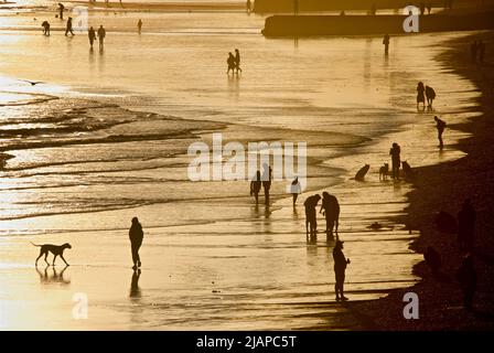 Silhouetten von Menschen am Strand bei Ebbe, Brighton & Hove, East Sussex, England, Großbritannien. Wanderhund und andere Formen. Stockfoto