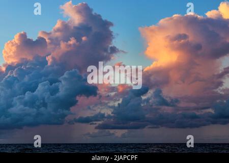 Everglades National Park. Foto vom Strand im Gulf Coast Visitor Center des Everglades National Park. Eine optimierte Version eines US National Park Service. Bildnachweis: NPS/R.Stubblebine Stockfoto