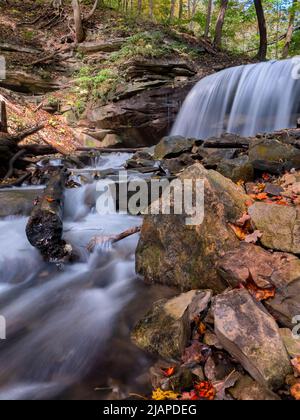 Lower Tew's Falls. Lower Tews Falls liegt am LogieÕs Creek im Spencer Watershed, etwa 200m flussabwärts von Tews Falls. Es handelt sich um einen Doppelvorhang mit einer Höhe von fast 4m Metern und einer Breite von 7 Metern. Hamilton, Ontario, Kanada Stockfoto