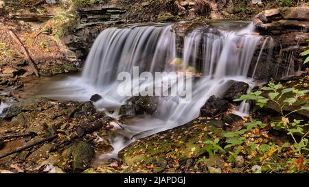 Lower Tew's Falls. Lower Tews Falls liegt am LogieÕs Creek im Spencer Watershed, etwa 200m flussabwärts von Tews Falls. Es handelt sich um einen Doppelvorhang mit einer Höhe von fast 4m Metern und einer Breite von 7 Metern. Hamilton, Ontario, Kanada Stockfoto