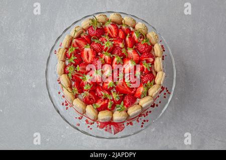 Dessert mit Erdbeeren, savoiardi-Keksen und Mascarpone, gebunden mit einem roten Band Stockfoto