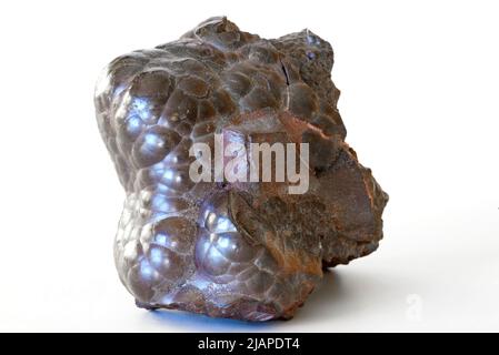 Hämatit vor weißem Hintergrund. Eisenoxid. Auch bekannt als Niererz. Aus der Beckermet Mine, Egremont, West Cumberland Iron Field, Cumbria, England, Großbritannien Stockfoto