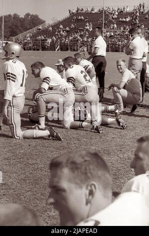 Die Offensive der Florida State University beendet Trainer Bobby Bowden am Rande der FSU-Spieler während des Fußballspiels in Tallahassee gegen die University of Kentucky am 10. Oktober 1964. (USA) Stockfoto