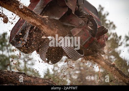 Ein Holzhof, der Holz verkauft. Holzhof. Stockfoto