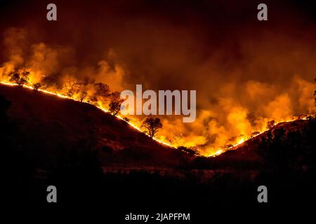 Ein Waldbrand wütet außer Kontrolle. The Woolsey Fire, California, Vereinigte Staaten von Amerika. November 2018. Eine optimierte / verbesserte Version eines USDA Forest Service Bildnachweis: USDA Stockfoto