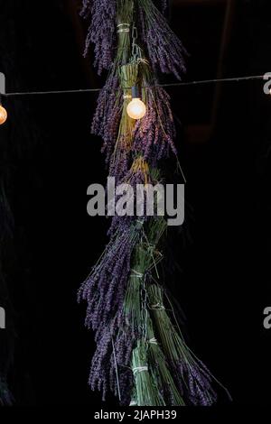 Nahaufnahme von Purple Lavender Bunches, die mit Fadenlampen zum Trocknen aufgehängt werden Stockfoto